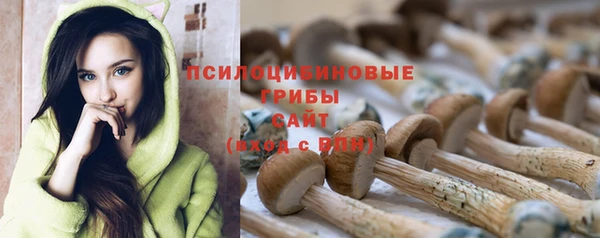 метадон Беломорск