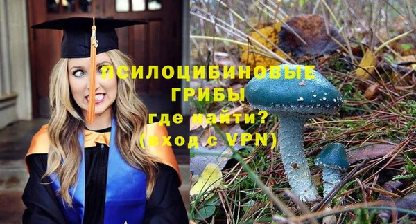 метадон Беломорск