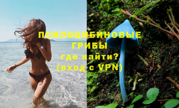 соль курить ск Белокуриха