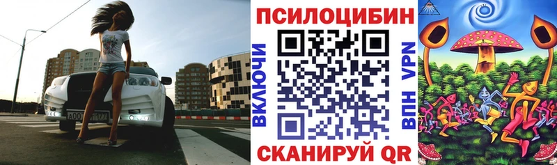 Галлюциногенные грибы GOLDEN TEACHER  купить   Елабуга 